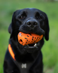 Non-Stop Dogwear Dog Throw Toy